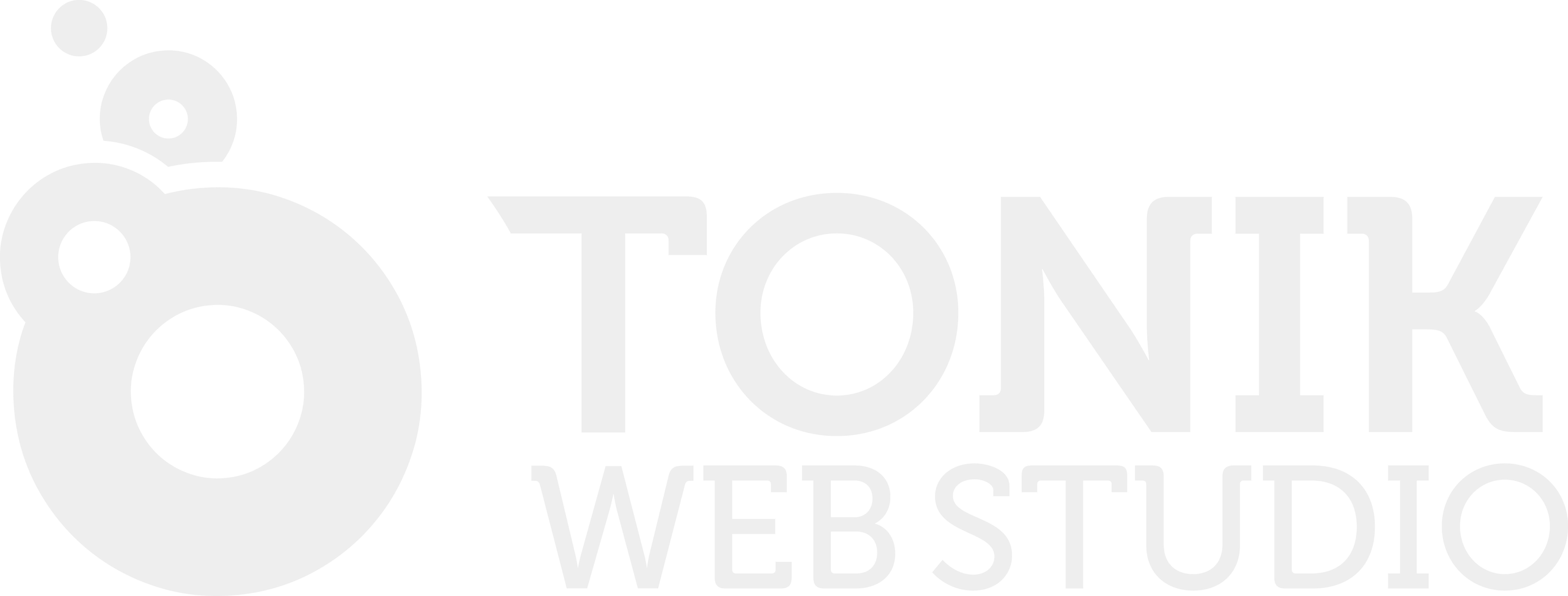 Logo de Tonik Web Studio